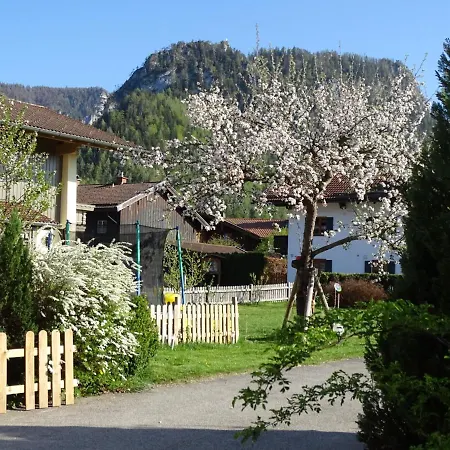 Ferienhaeuschen Apartment Inzell