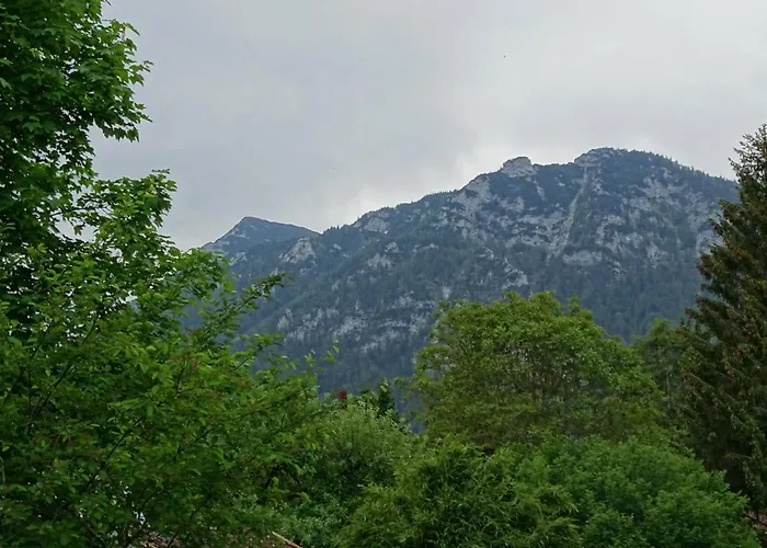 Ferienhaeuschen דירה *